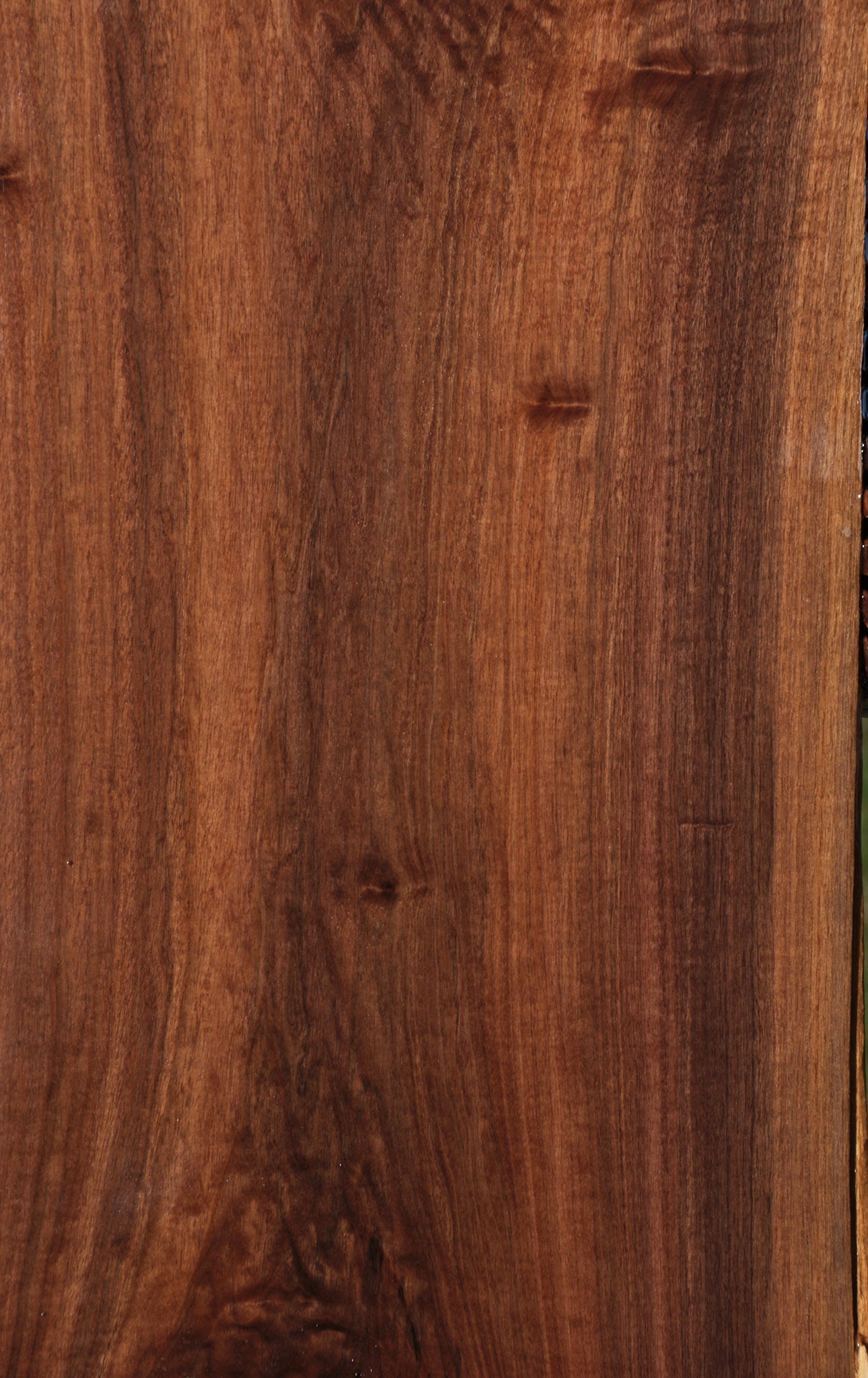 Mansonia Live Edge Lumber