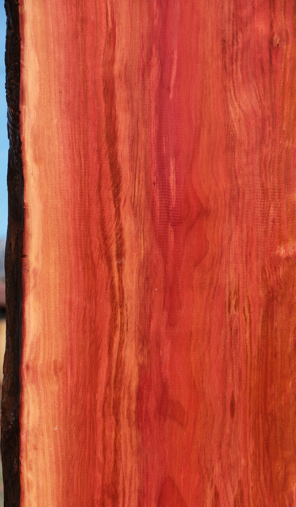 Extra Fancy Redheart Live Edge Lumber