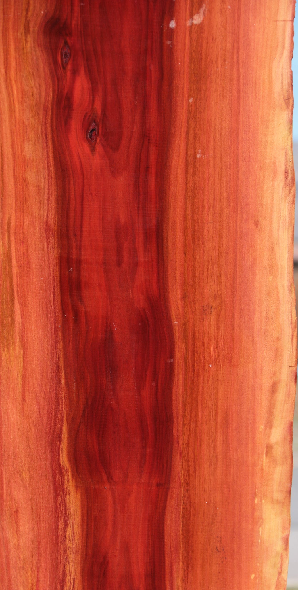 Extra Fancy Redheart Live Edge Lumber