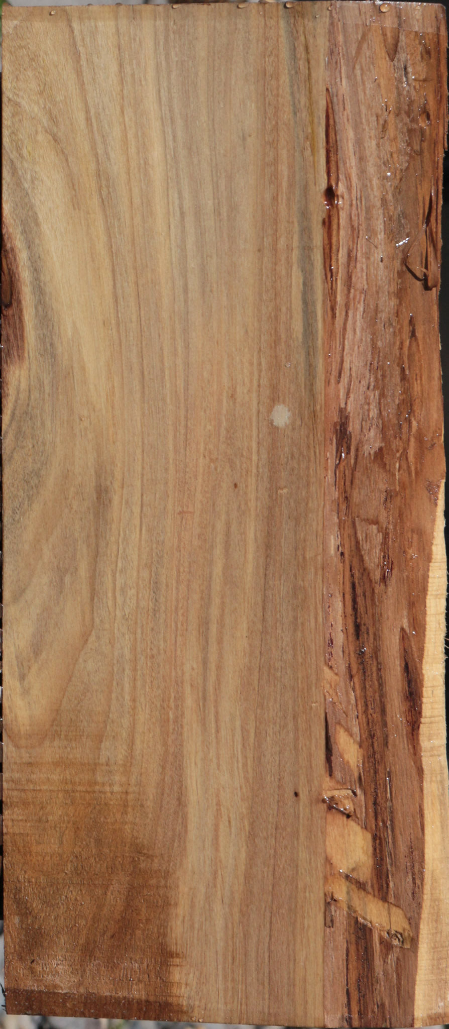 Extra Fancy Bolivian Rosewood Live Edge Lumber