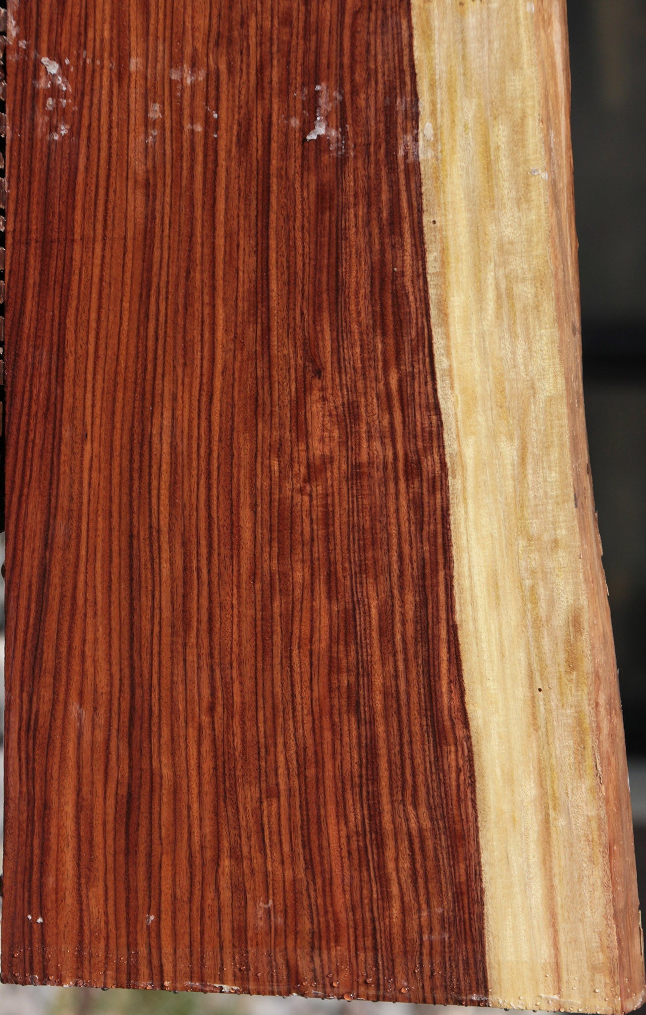 Bolivian Rosewood Live Edge Lumber