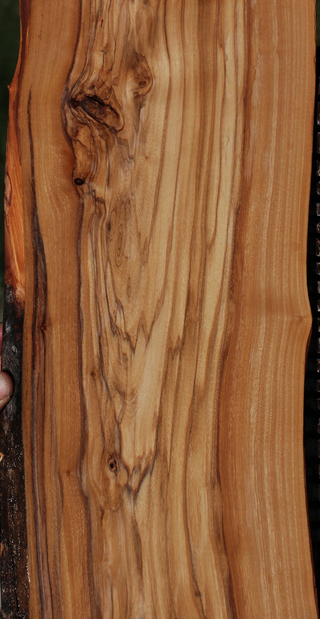 Extra Fancy Olive Live Edge Lumber