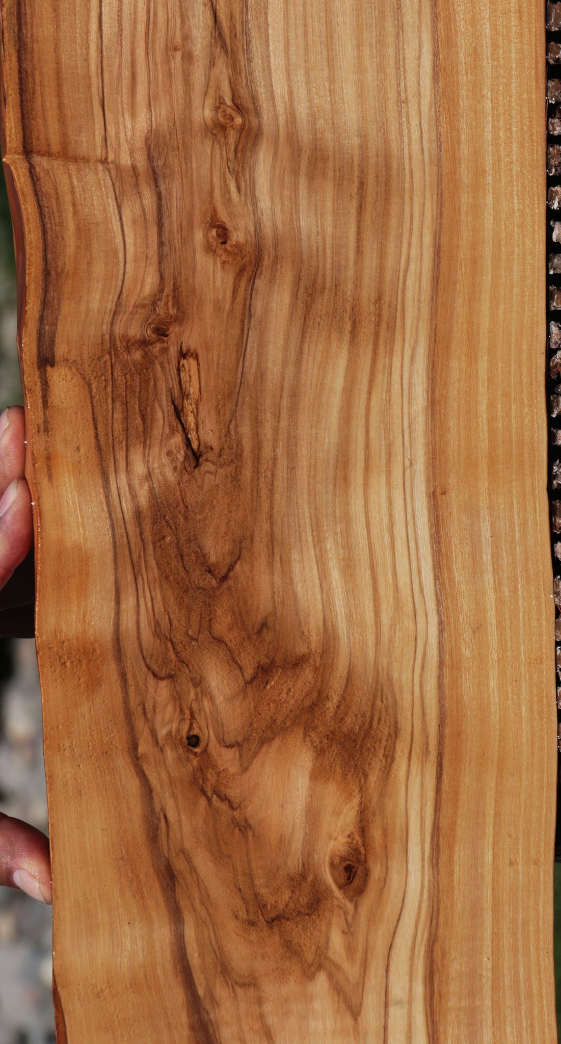 Extra Fancy Olive Live Edge Lumber