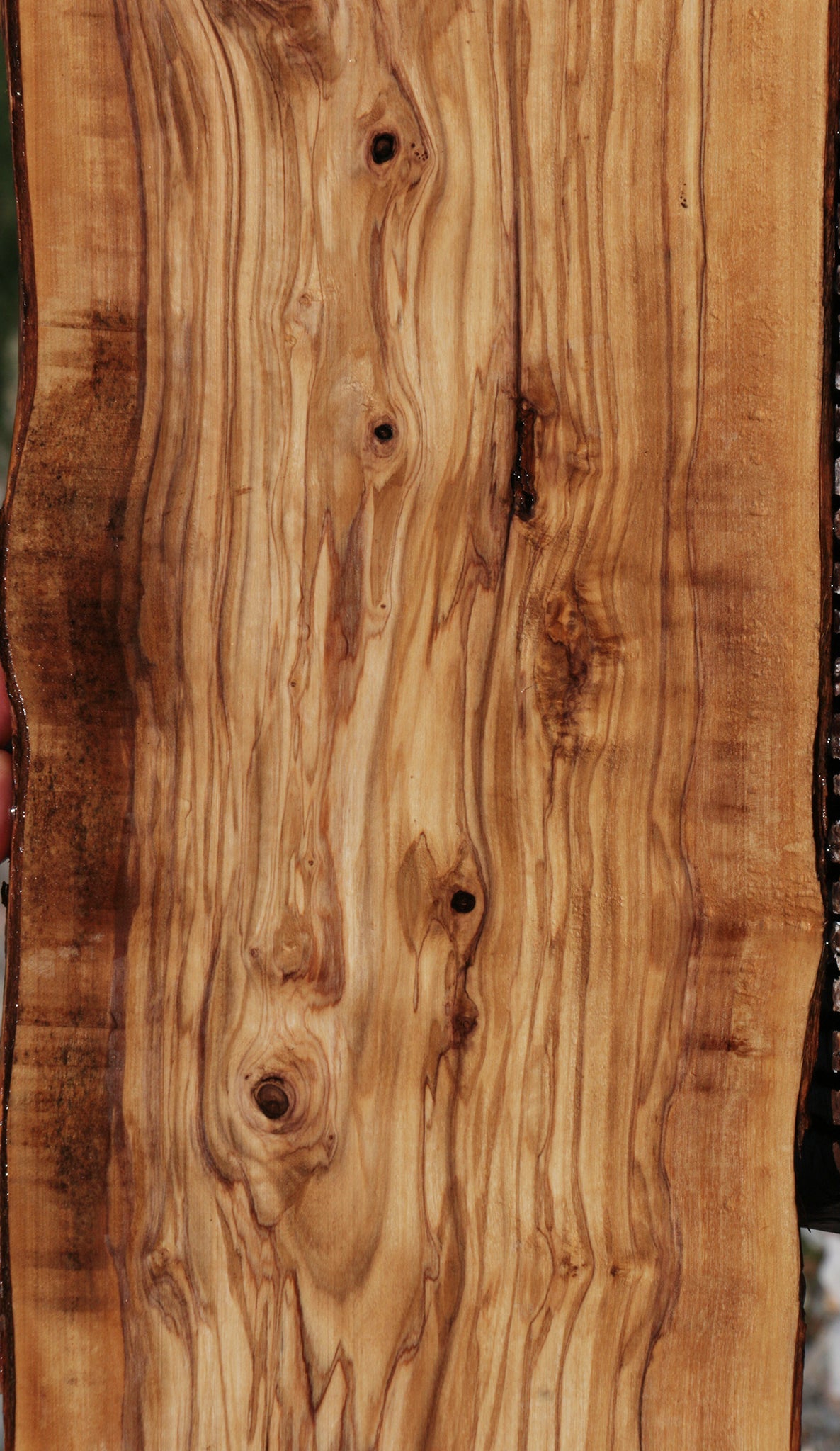 Extra Fancy Olive Live Edge Lumber