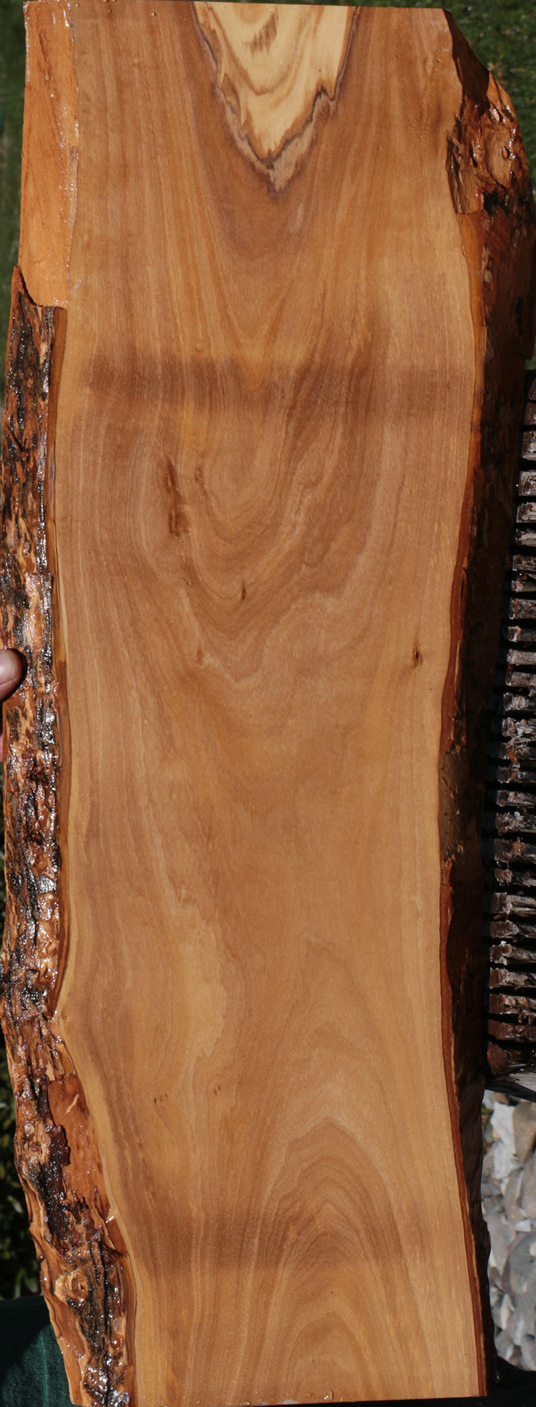 Olive Live Edge Lumber