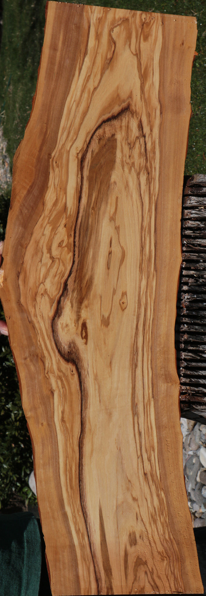 Extra Fancy Olive Live Edge Lumber