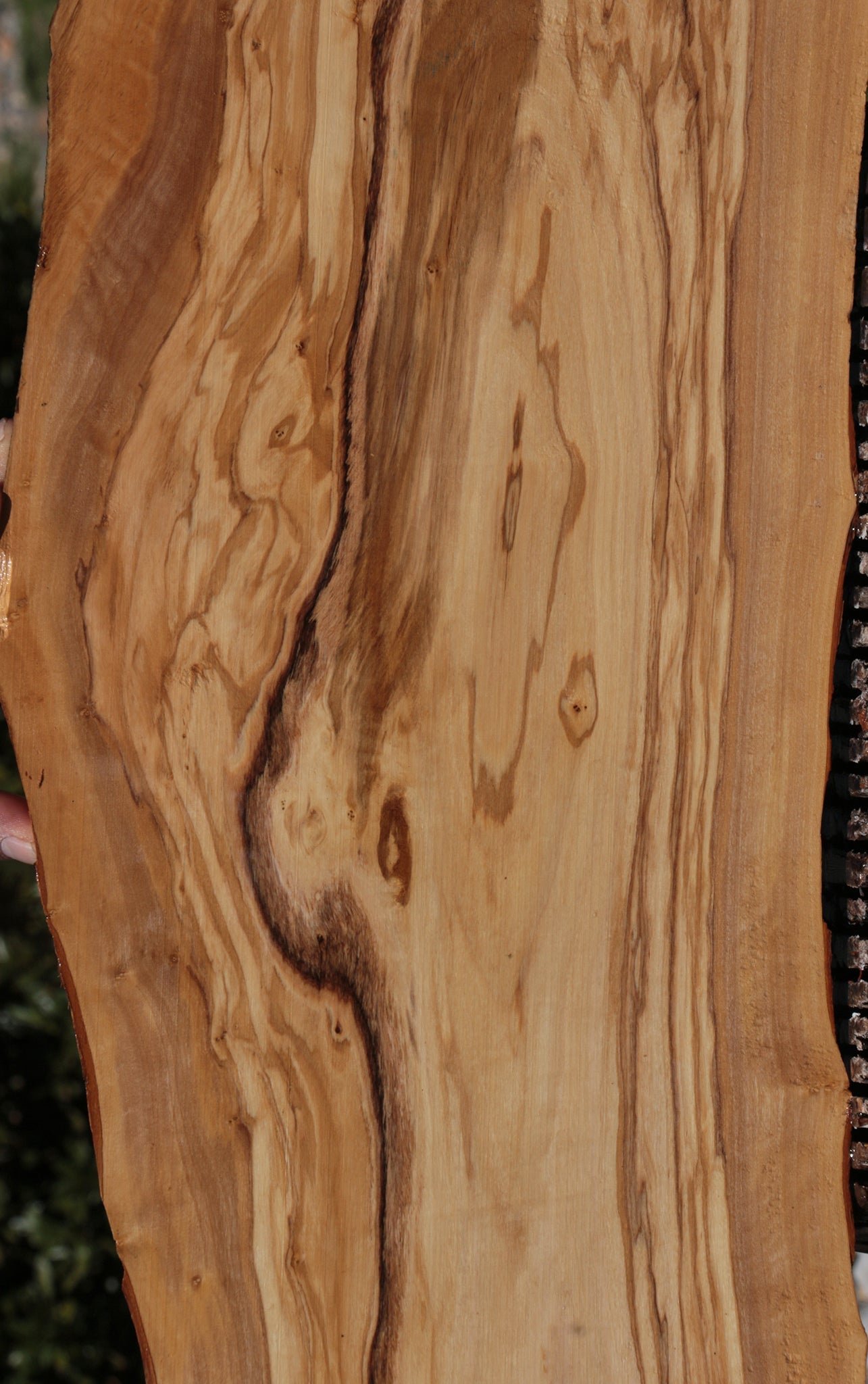 Extra Fancy Olive Live Edge Lumber