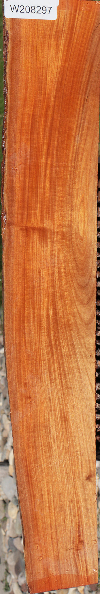 Extra Fancy Chaltecoco Live Edge Lumber