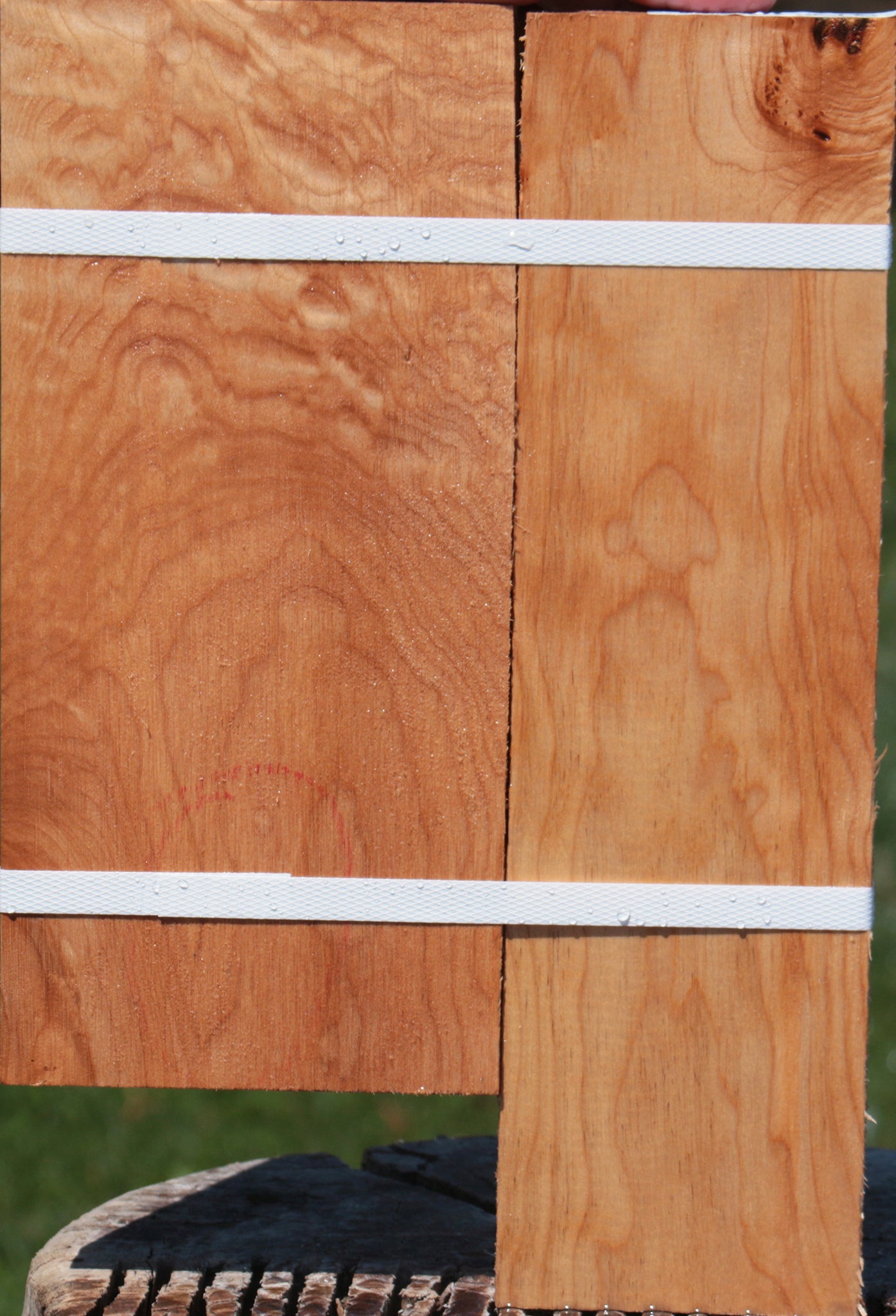 Quilted Maple Lumber 2-Pack