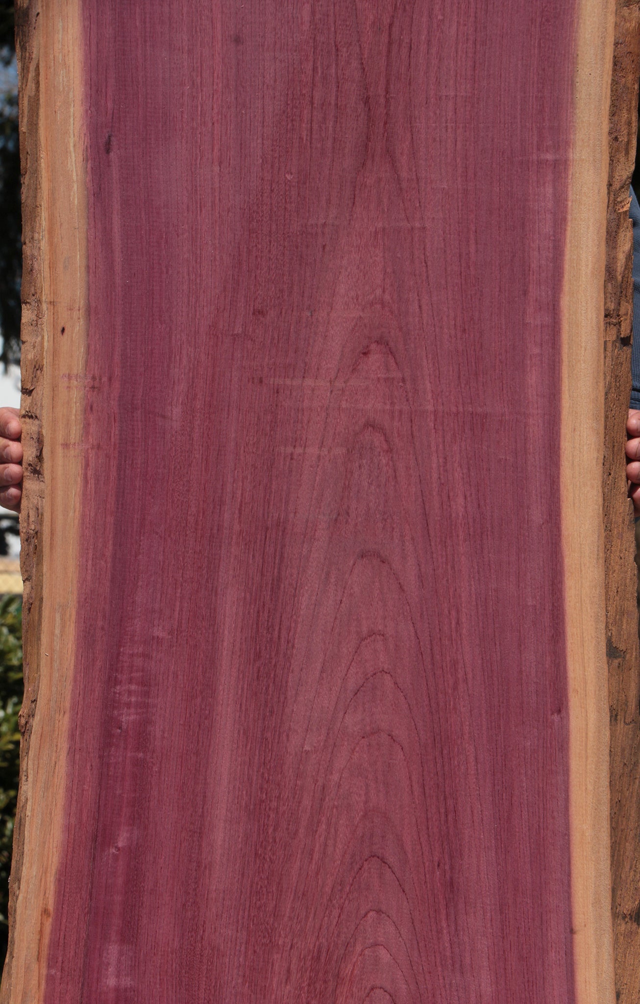 Figured Purpleheart Live Edge Lumber