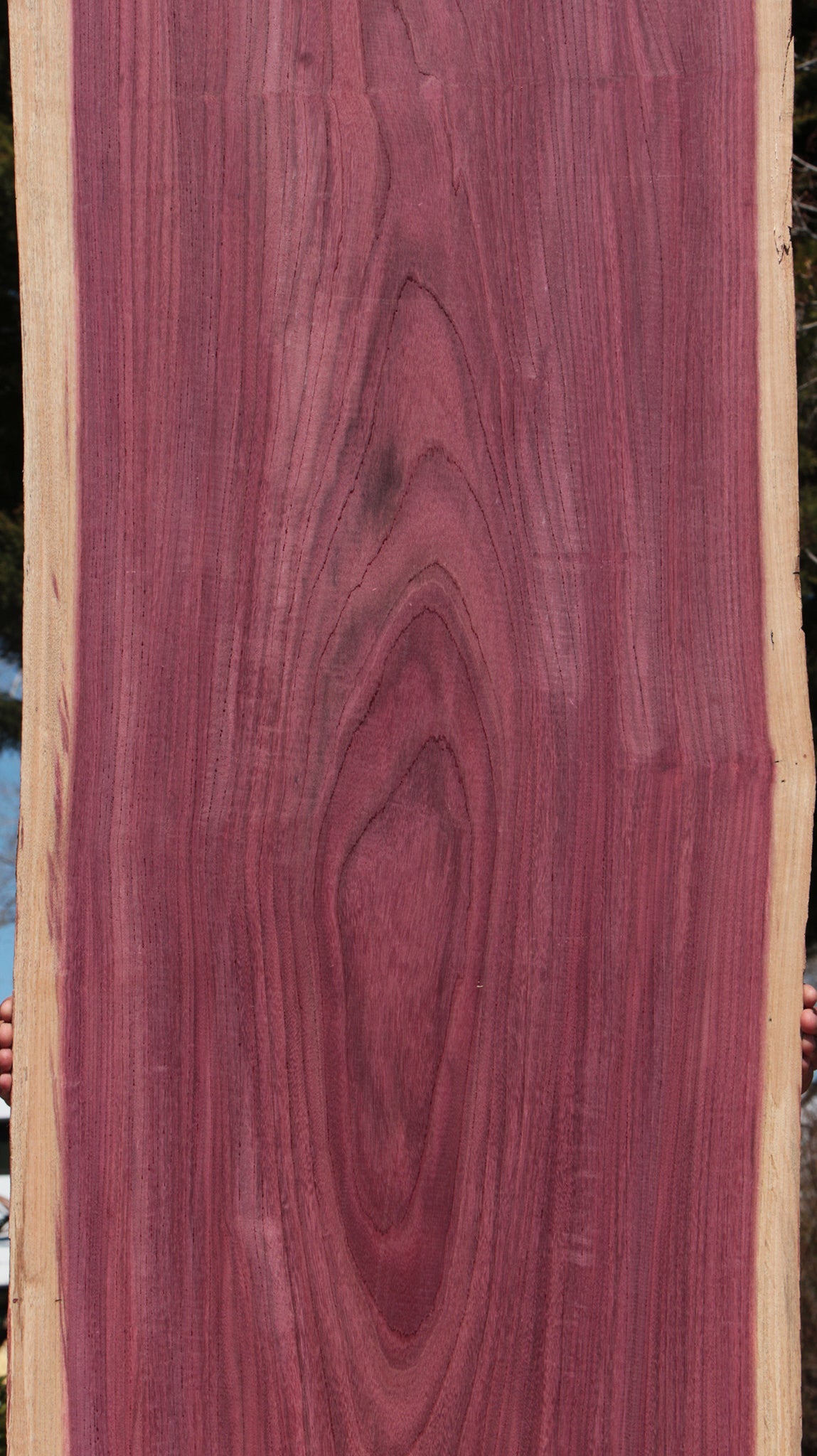 Figured Purpleheart Live Edge Lumber