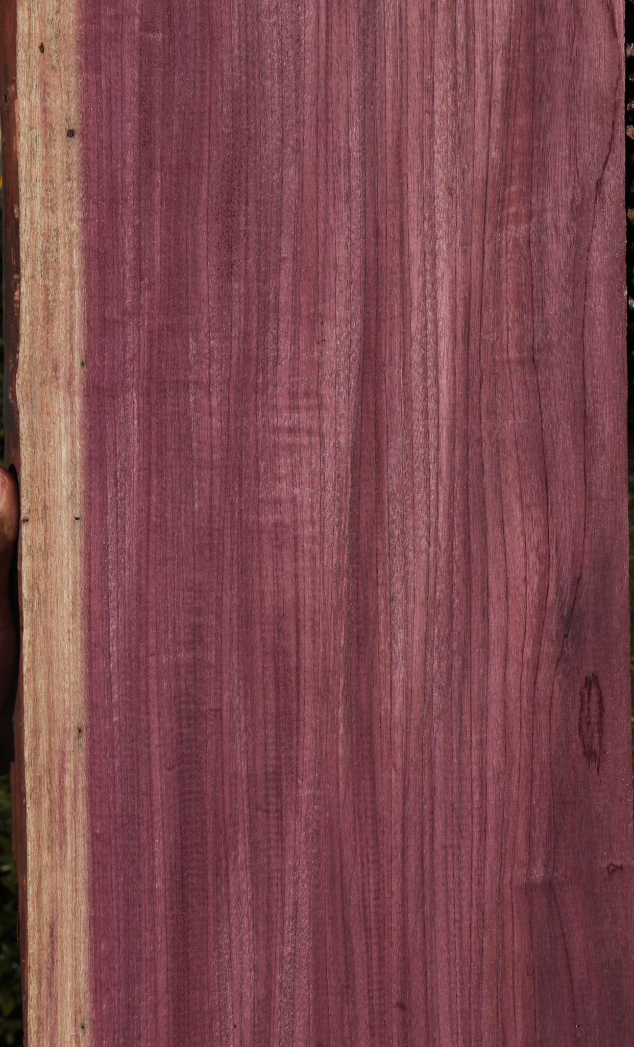 Purpleheart Live Edge Lumber