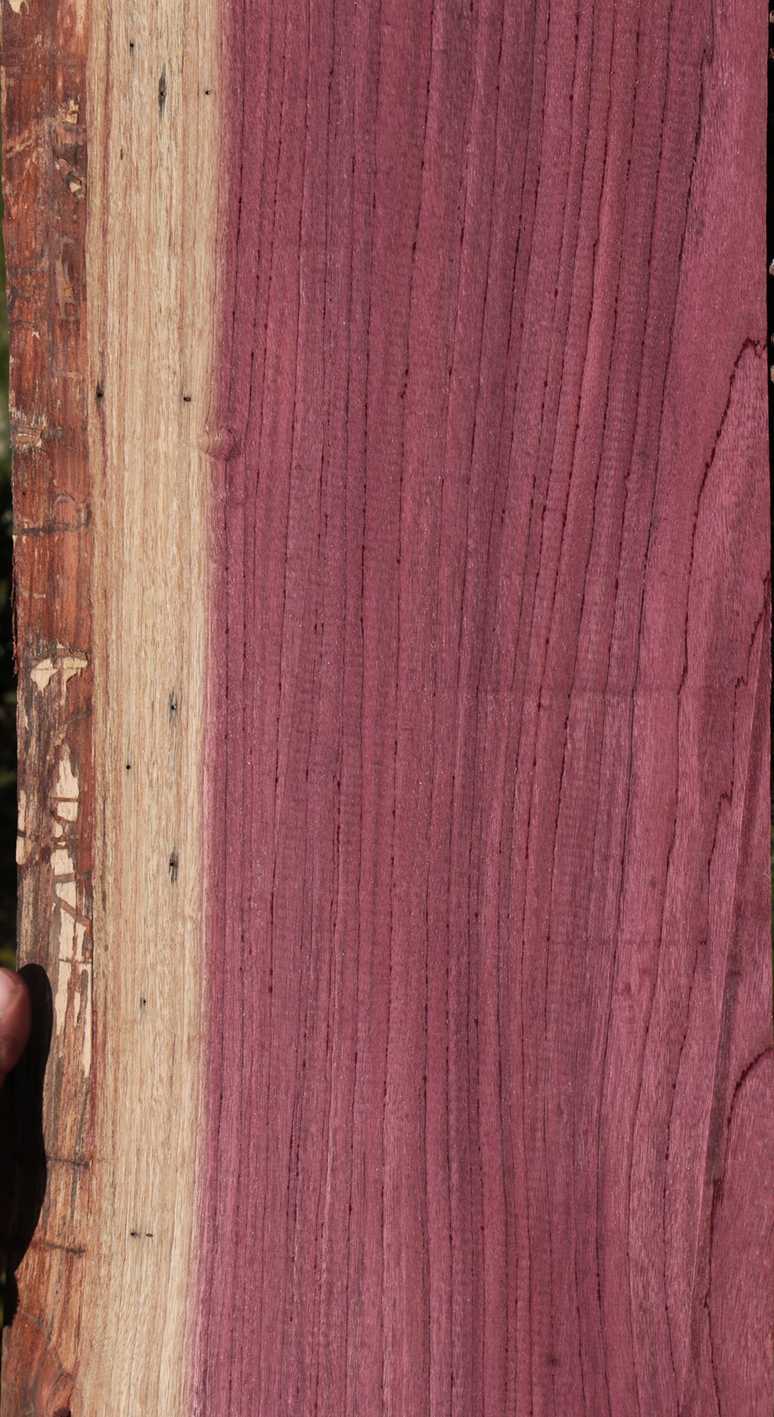 Purpleheart Live Edge Lumber