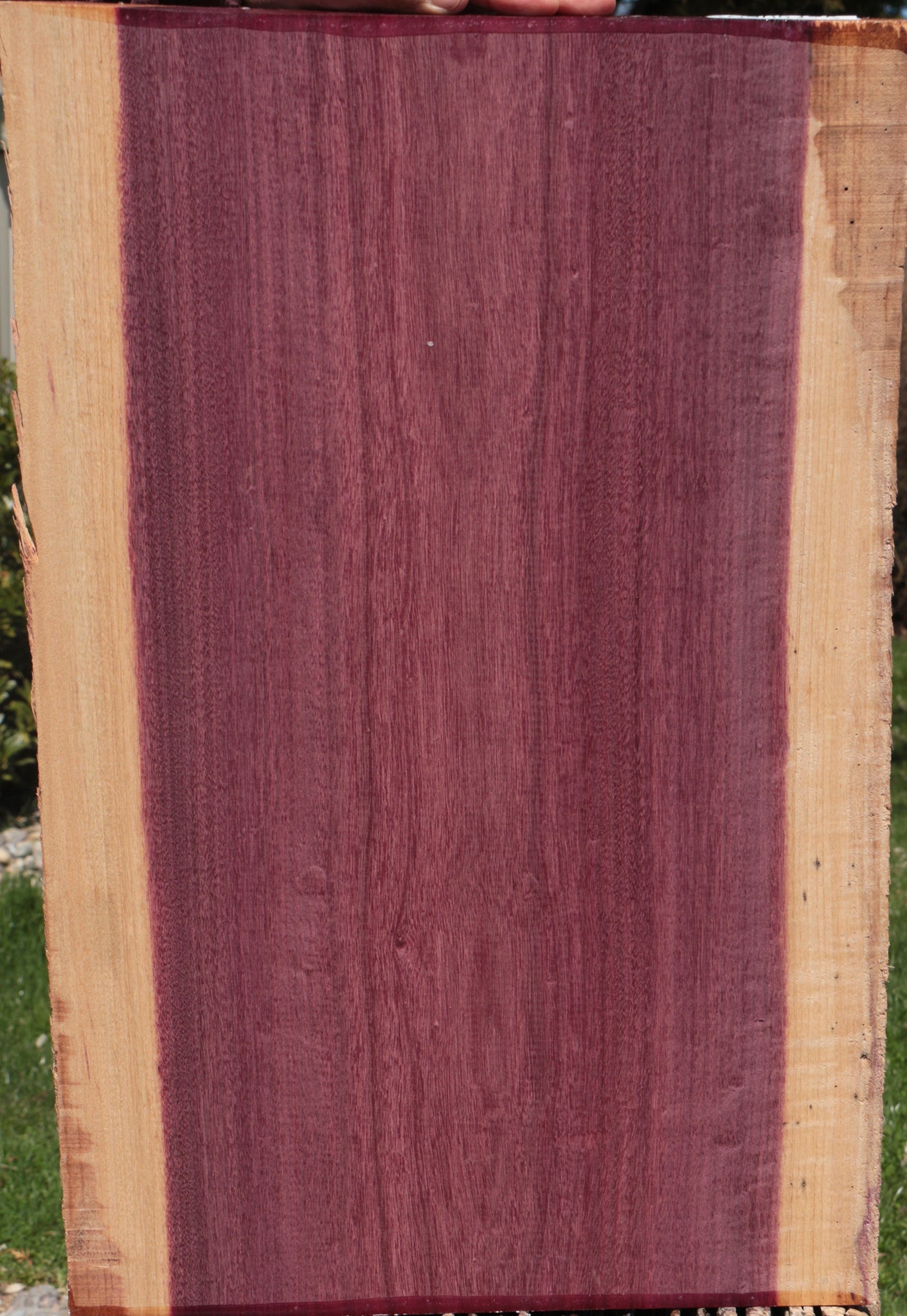 Purpleheart Live Edge Lumber