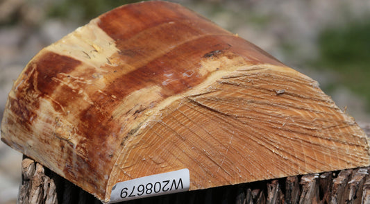 French Ash Half Log