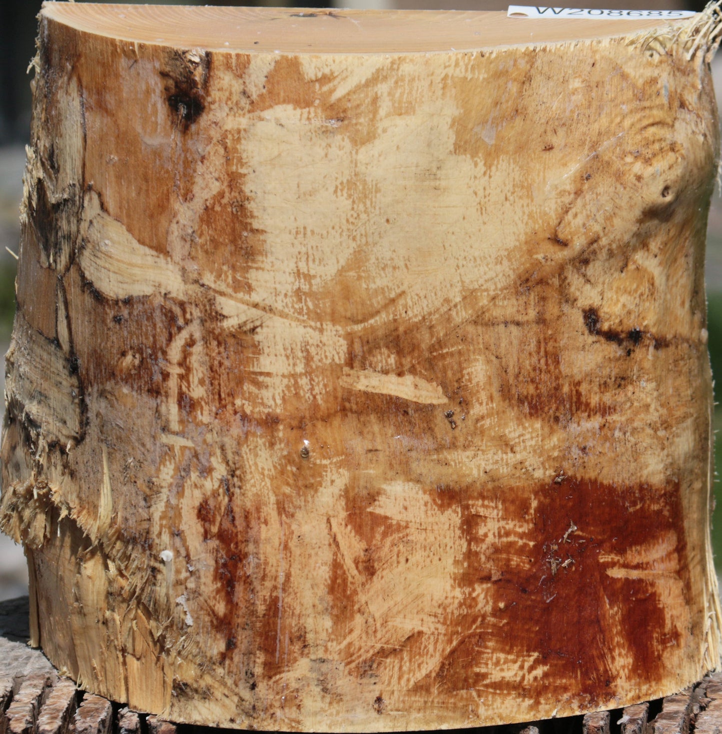 French Ash Half Log