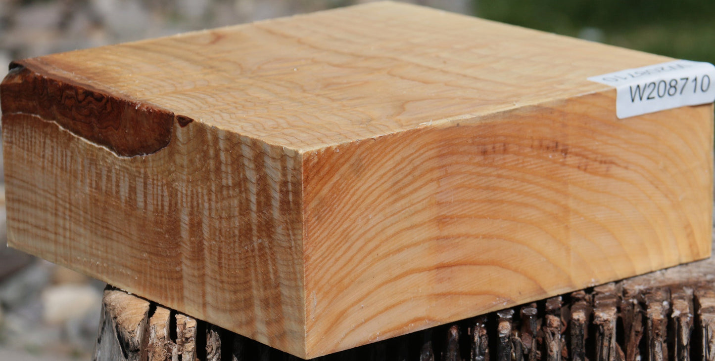 Extra Fancy French Ash Bowl Blank