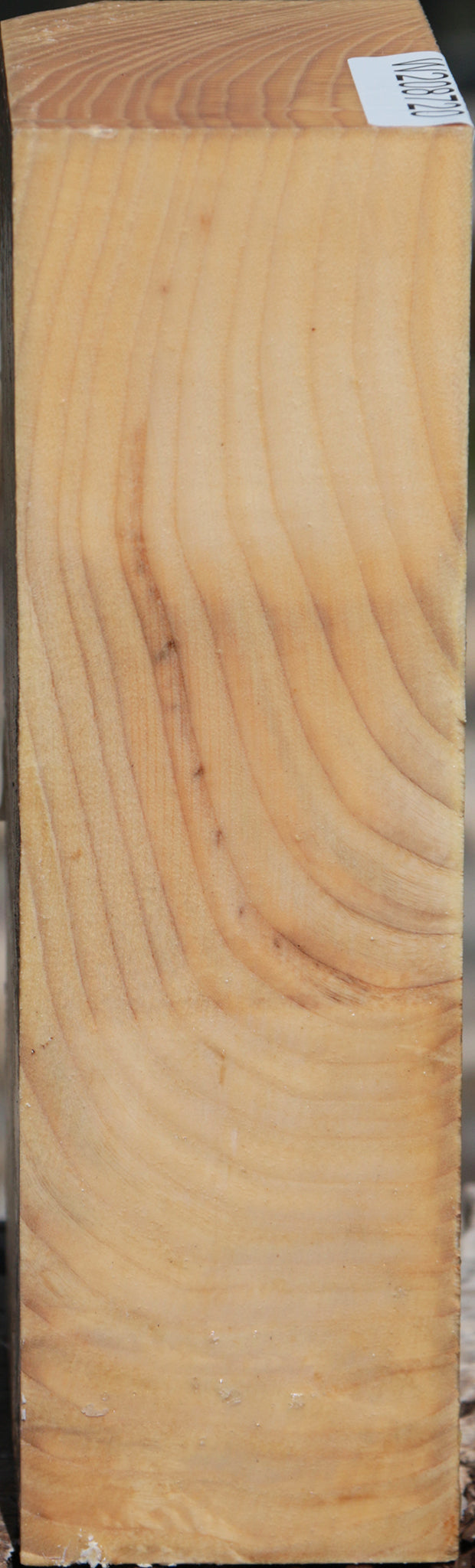 French Ash Turning Blank