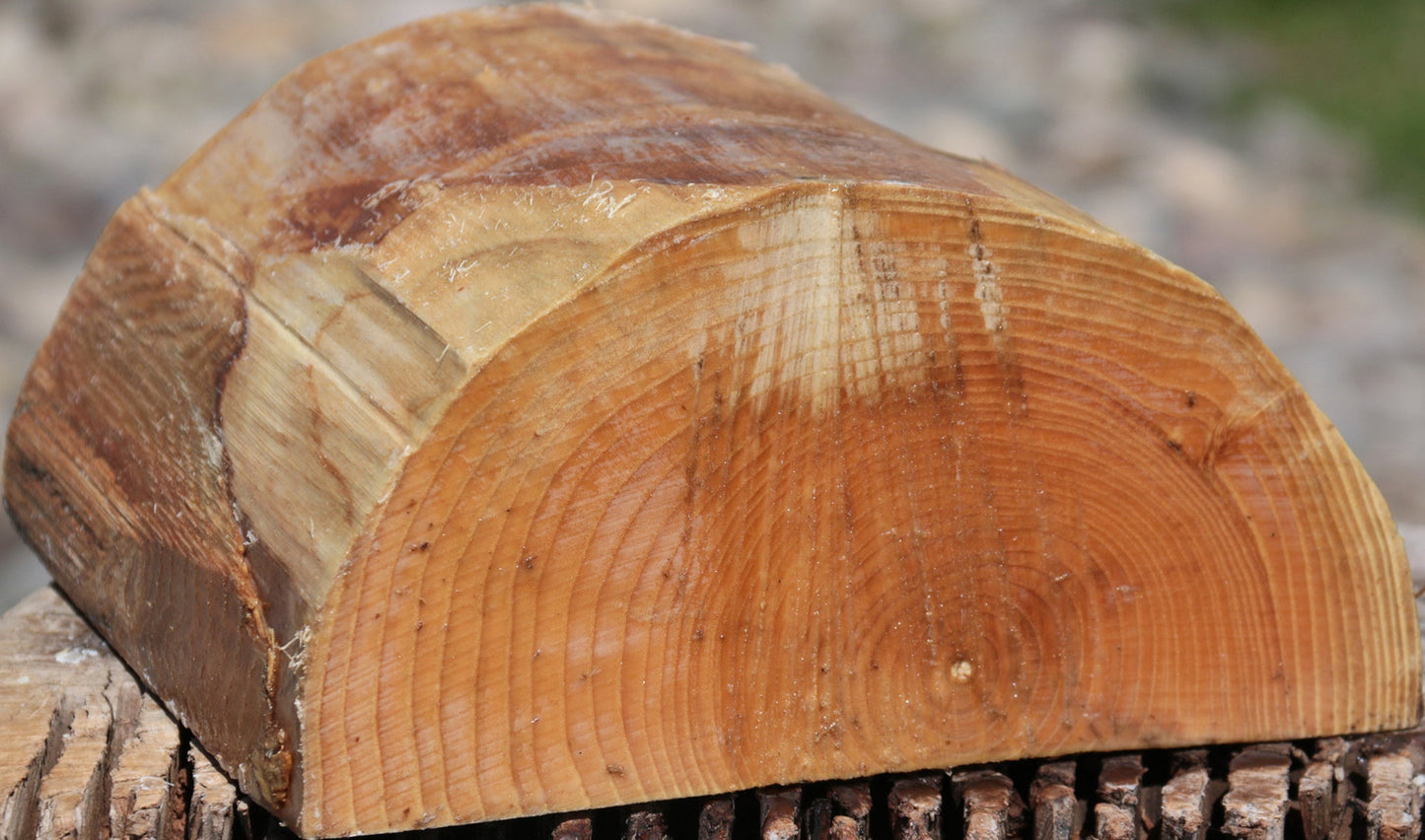 French Ash Half Log