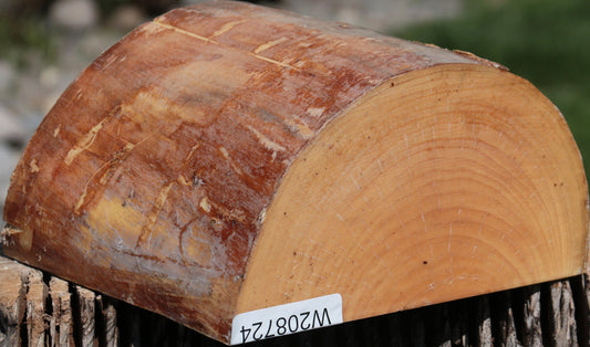 French Ash Half Log