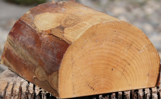 French Ash Half Log