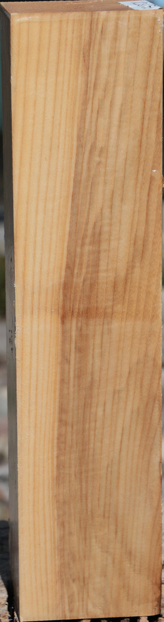 French Ash Peppermill