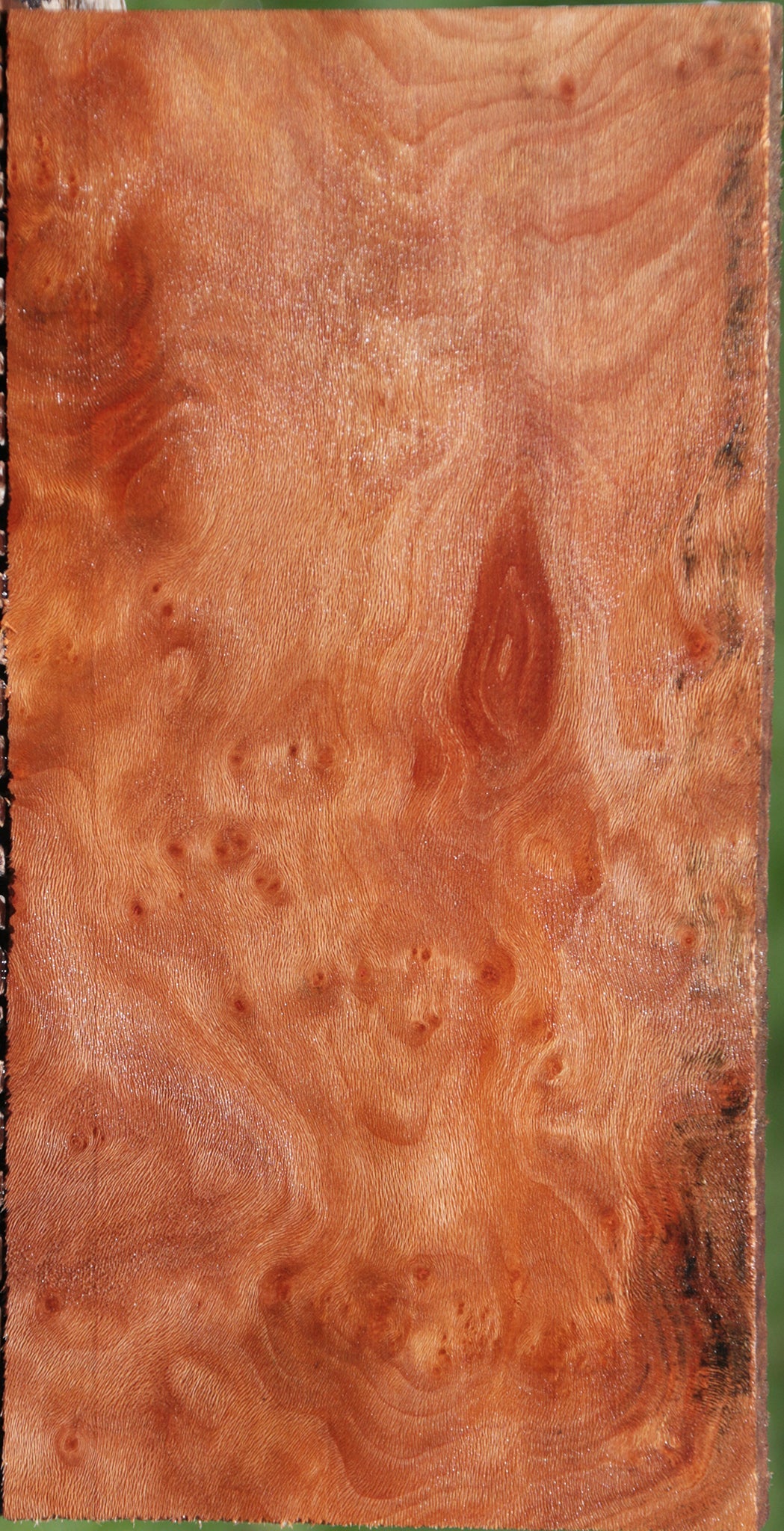 Extra Fancy Sycamore Burl Lumber