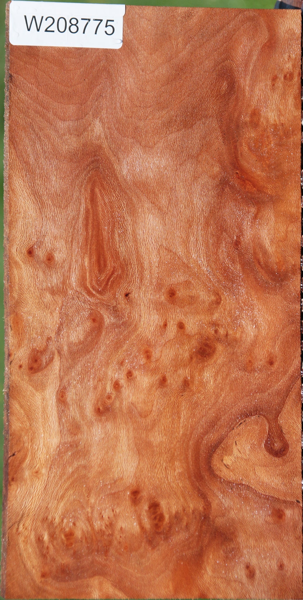 Extra Fancy Sycamore Burl Lumber