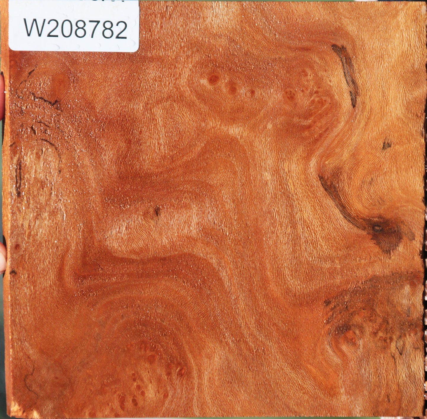 Extra Fancy Sycamore Burl Lumber