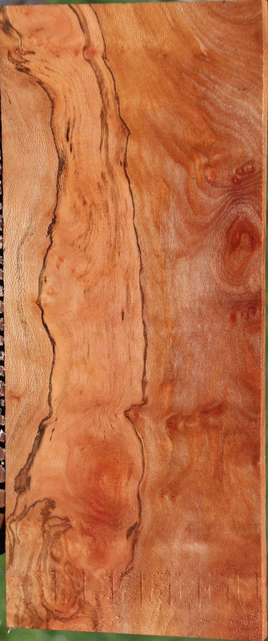 Extra Fancy Spalted Sycamore Burl Lumber