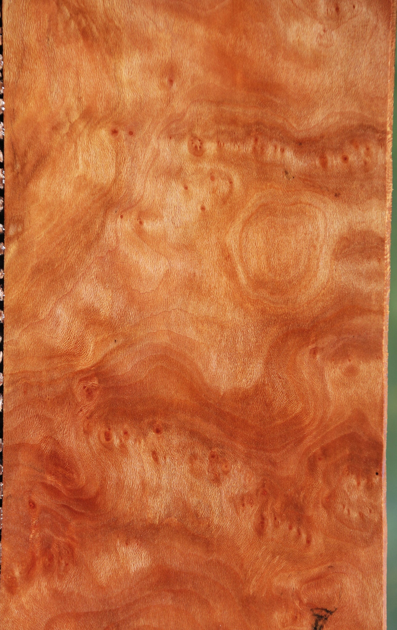 Extra Fancy Sycamore Burl Instrument Lumber