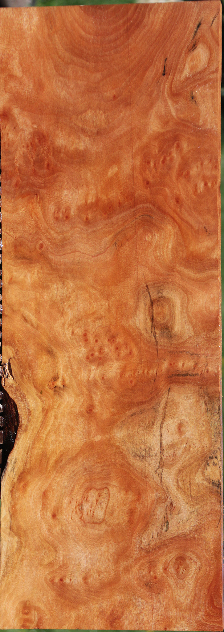 Extra Fancy Sycamore Burl Instrument Lumber