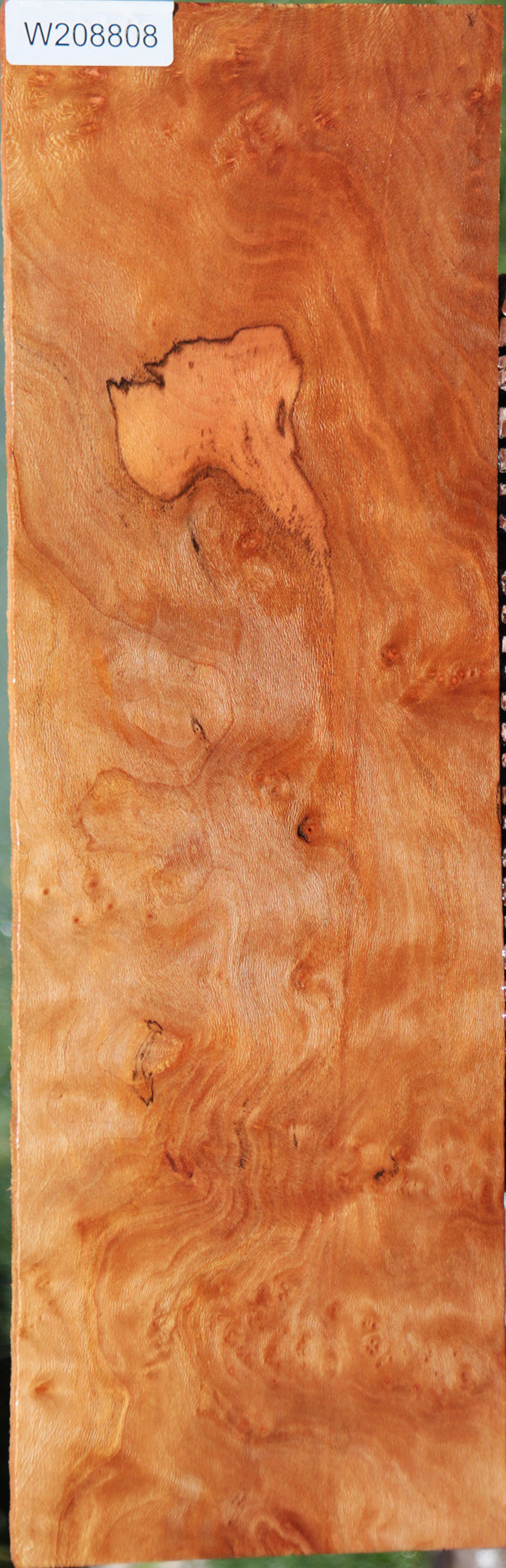 Extra Fancy Sycamore Burl Lumber