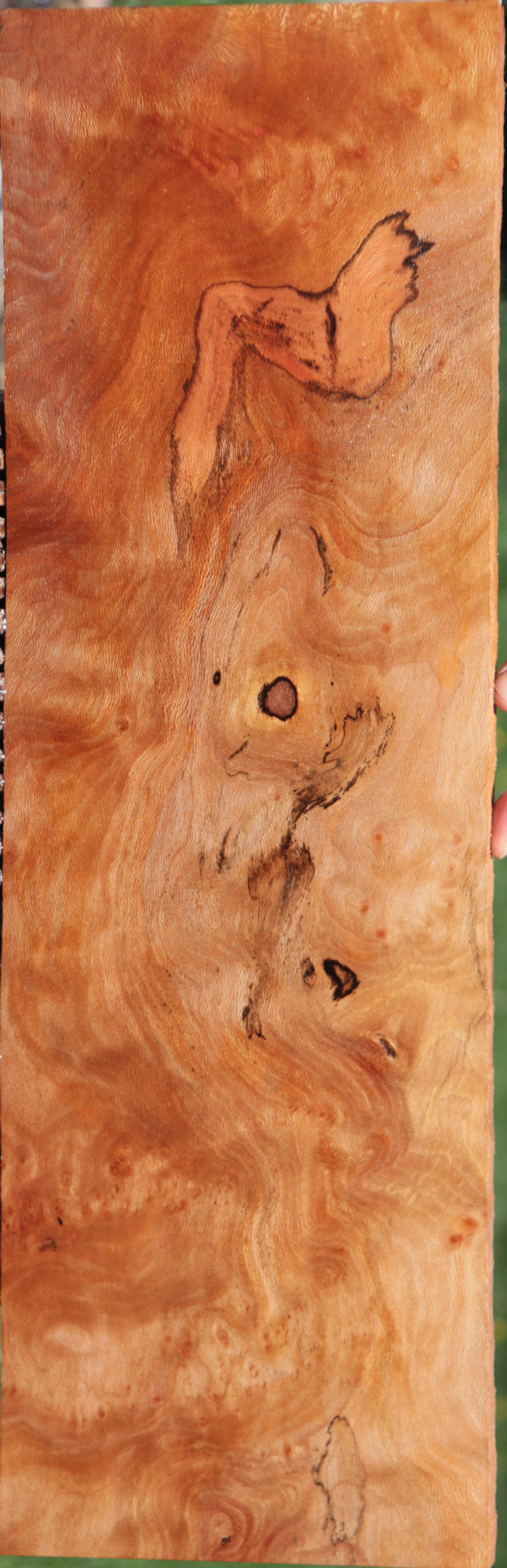 Extra Fancy Sycamore Burl Lumber