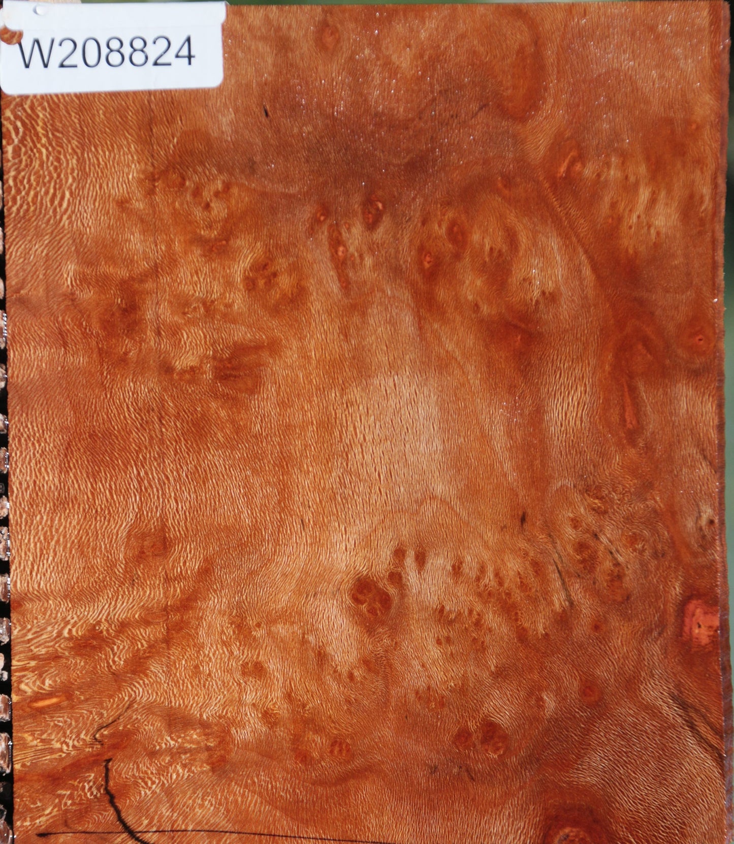 Extra Fancy Sycamore Burl Lumber