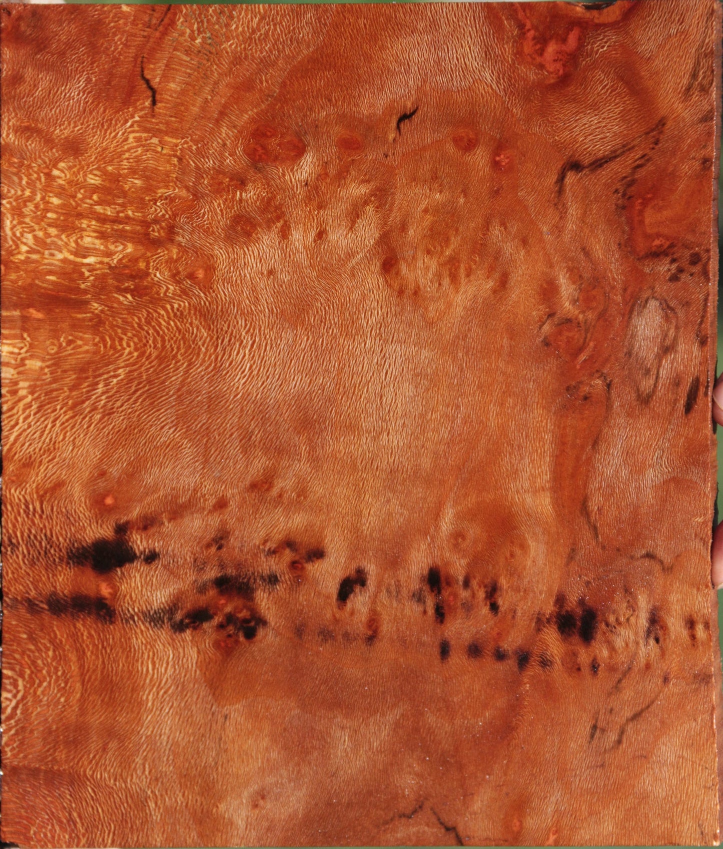 Extra Fancy Sycamore Burl Lumber