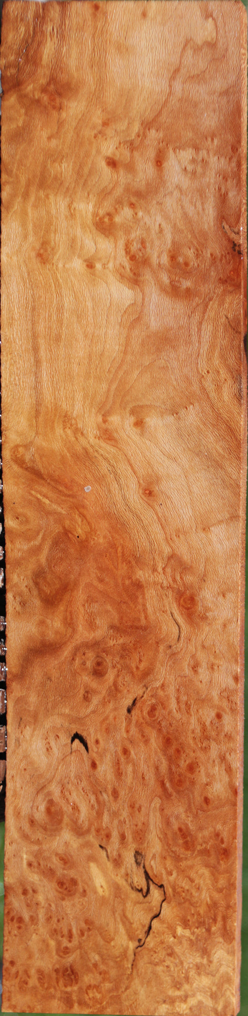 Extra Fancy Spalted Sycamore Burl Lumber