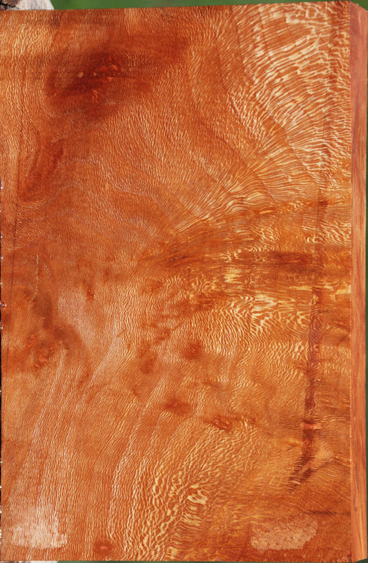 Extra Fancy Sycamore Burl Lumber