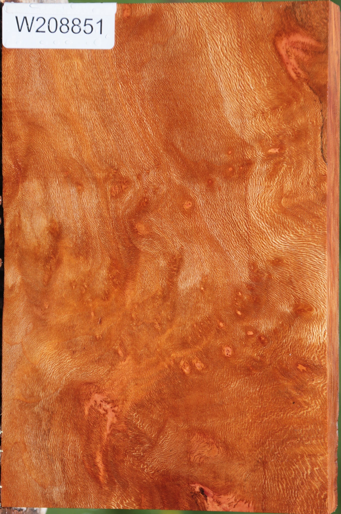 Extra Fancy Sycamore Burl Lumber