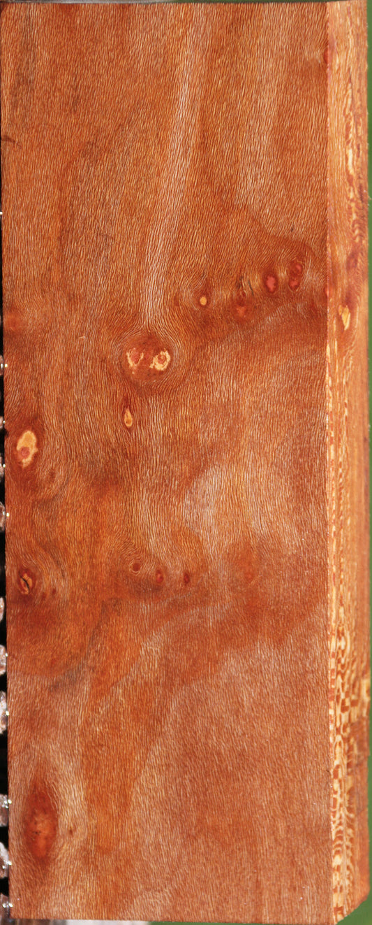 Extra Fancy Sycamore Burl Lumber