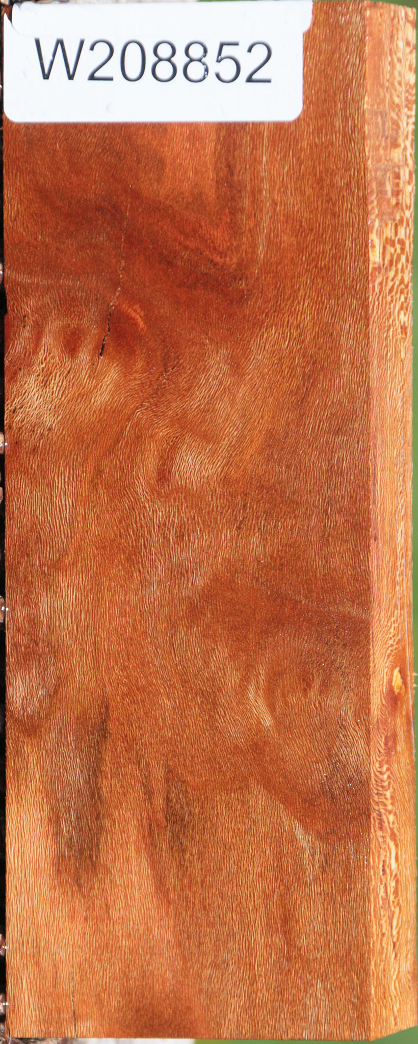 Extra Fancy Sycamore Burl Lumber