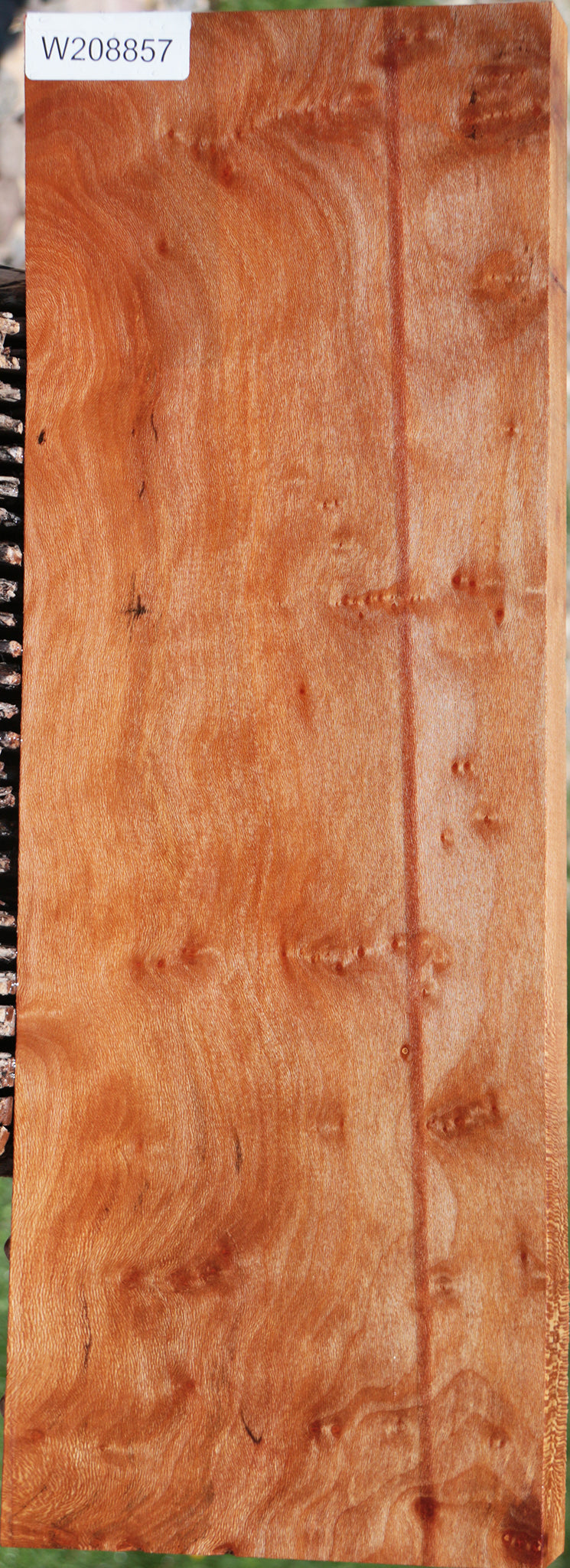 Extra Fancy Sycamore Burl Instrument Lumber