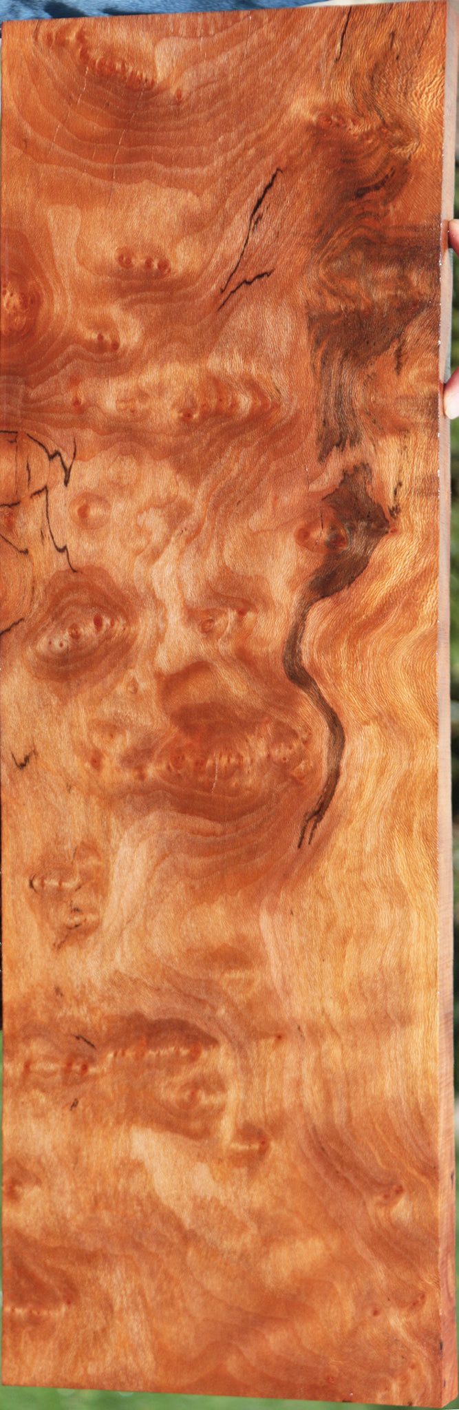 Extra Fancy Sycamore Burl Lumber