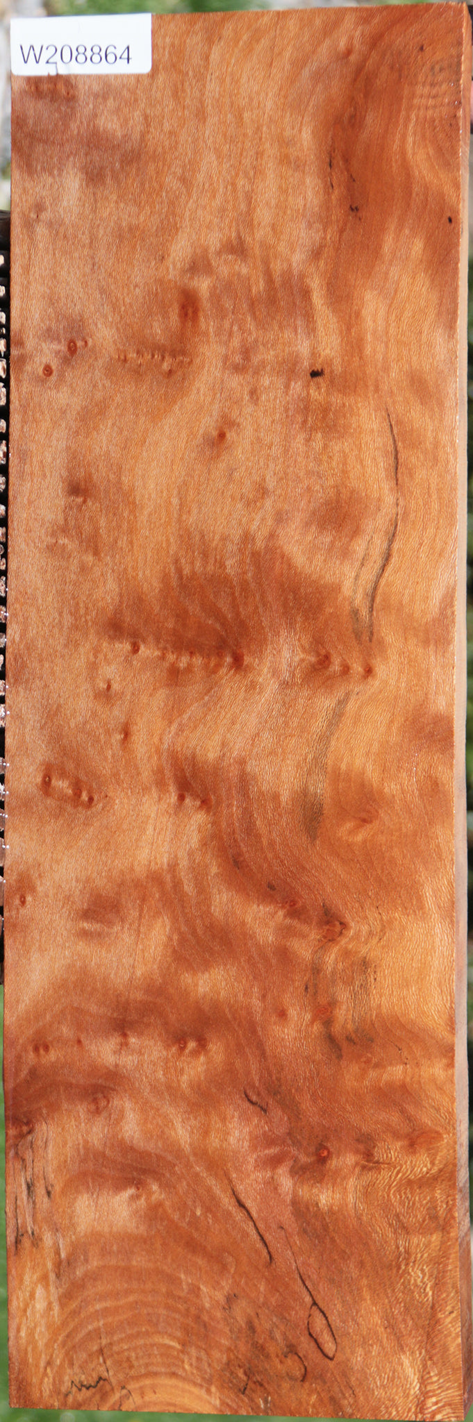 Extra Fancy Sycamore Burl Lumber