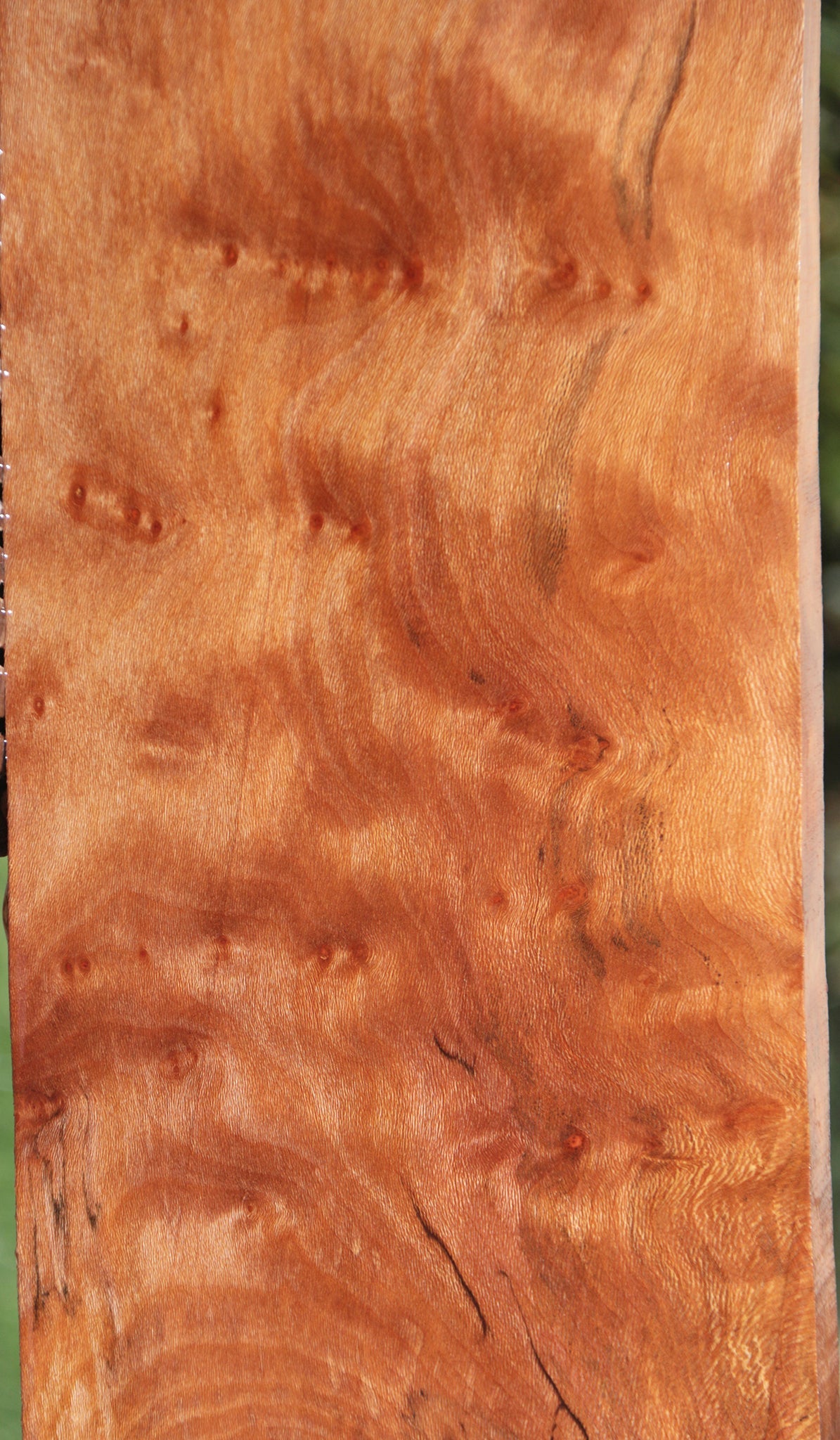 Extra Fancy Sycamore Burl Lumber