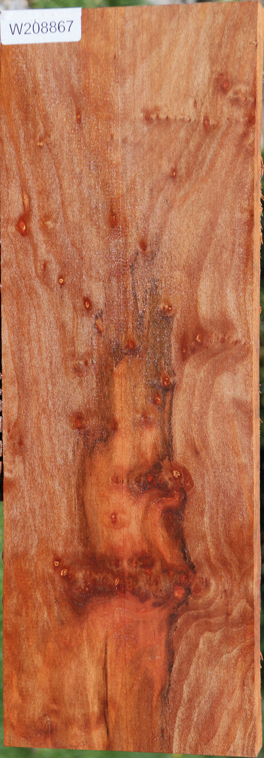 Extra Fancy Sycamore Burl Lumber