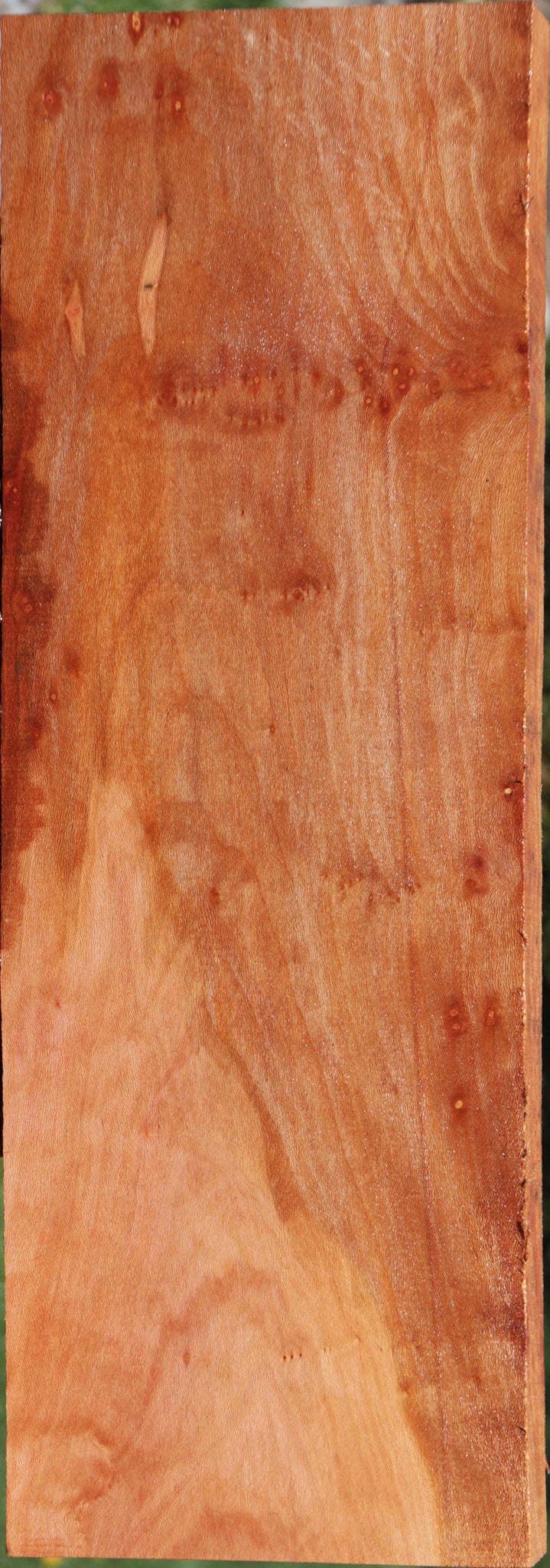 Extra Fancy Sycamore Burl Lumber