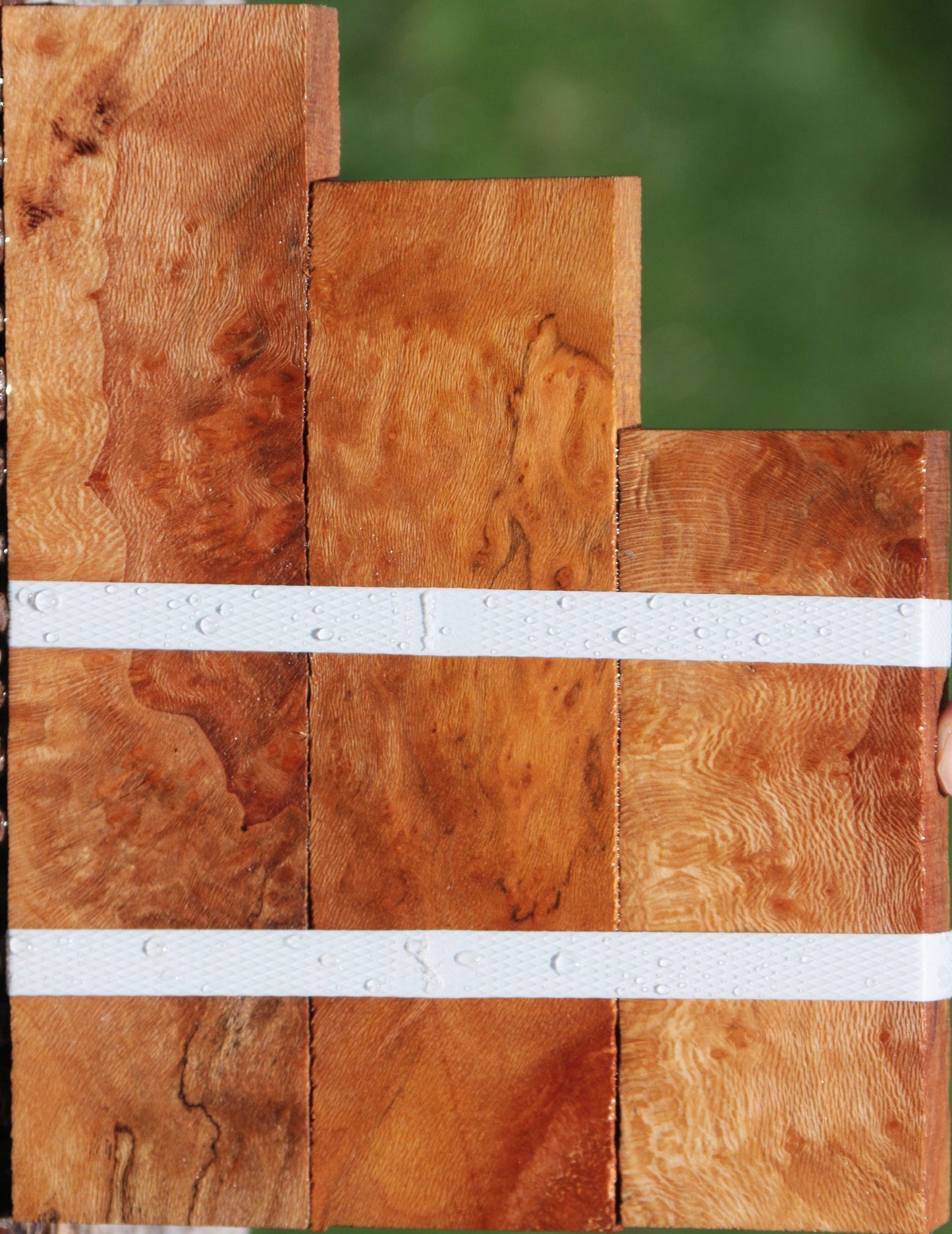 Extra Fancy Sycamore Burl Lumber 3-Pack