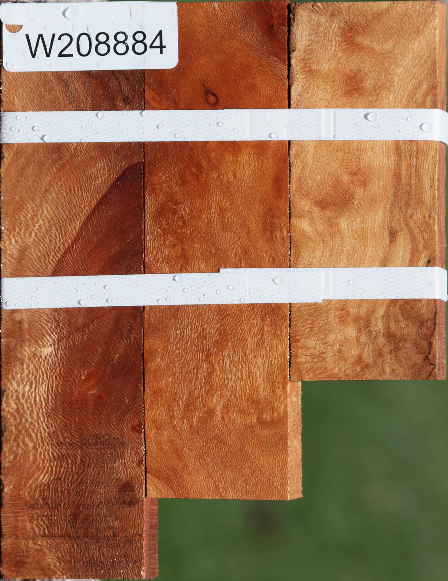 Extra Fancy Sycamore Burl Lumber 3-Pack