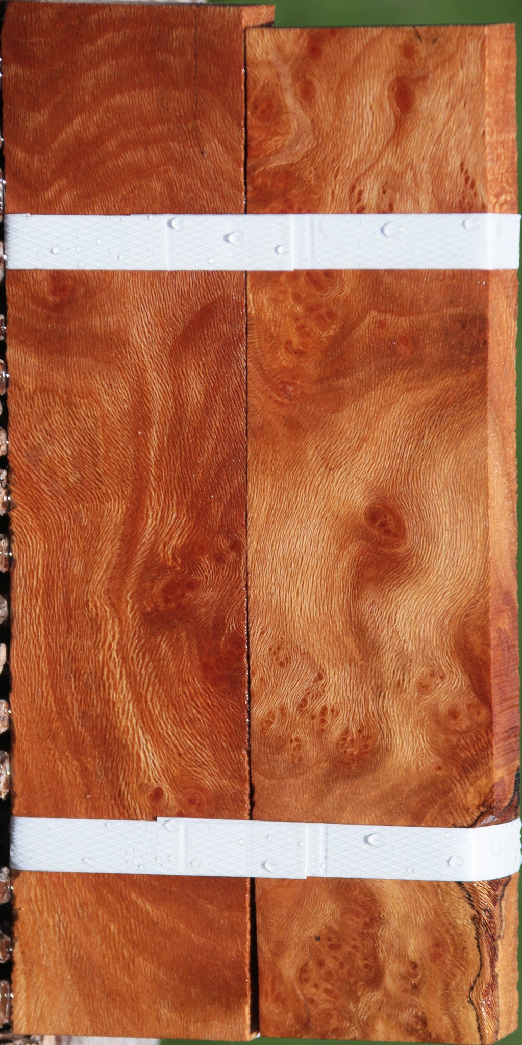 Extra Fancy Sycamore Burl Lumber 2-Pack